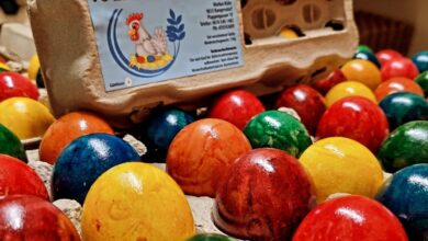 regionale-produkte.online, einer, hühner